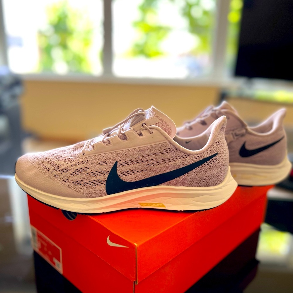 Nike Pegasus